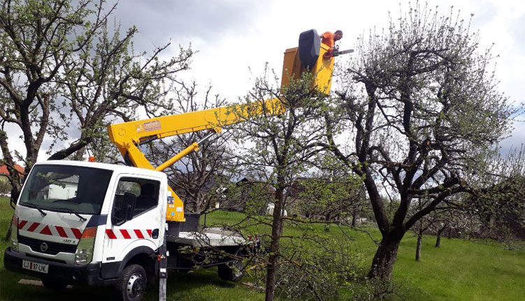 Obrezovanje dreves na višini z avtodvigalom